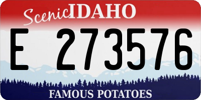 ID license plate E273576
