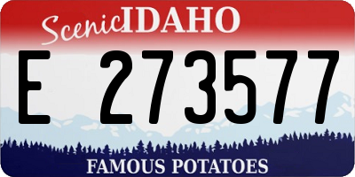 ID license plate E273577