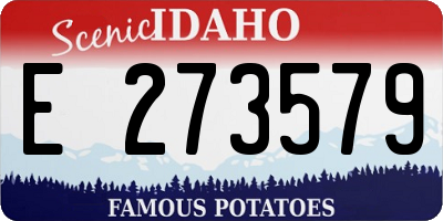 ID license plate E273579