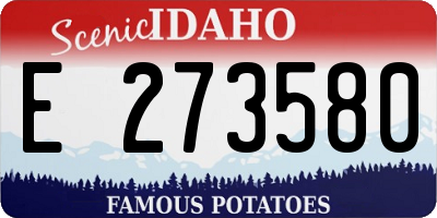 ID license plate E273580