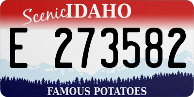 ID license plate E273582
