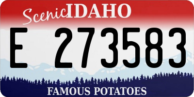 ID license plate E273583