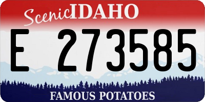 ID license plate E273585