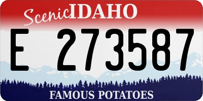 ID license plate E273587