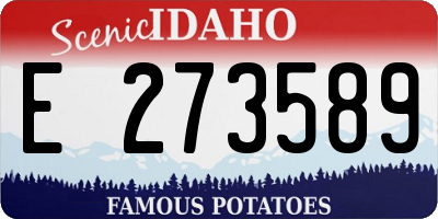 ID license plate E273589