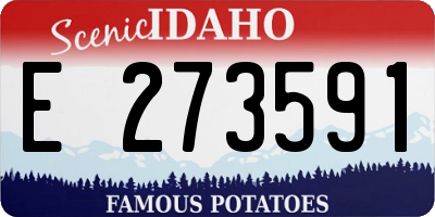 ID license plate E273591