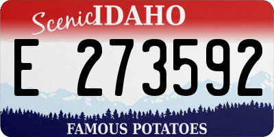 ID license plate E273592