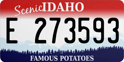 ID license plate E273593