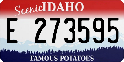 ID license plate E273595