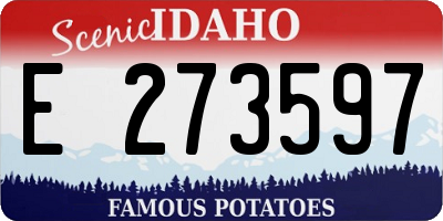 ID license plate E273597