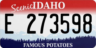 ID license plate E273598