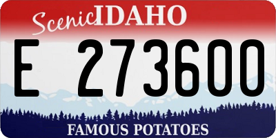 ID license plate E273600
