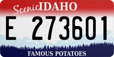ID license plate E273601