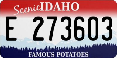 ID license plate E273603
