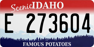 ID license plate E273604
