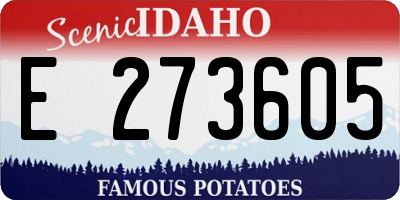 ID license plate E273605