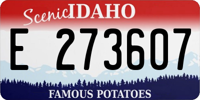 ID license plate E273607