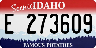 ID license plate E273609