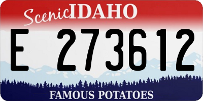ID license plate E273612