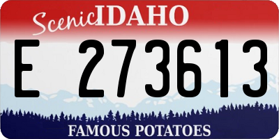 ID license plate E273613