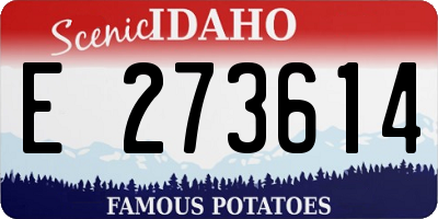 ID license plate E273614