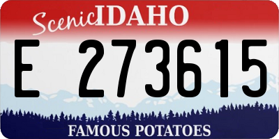 ID license plate E273615