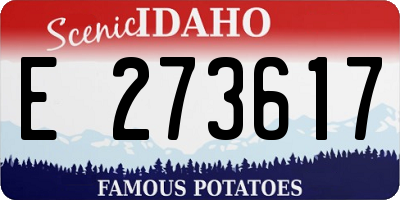 ID license plate E273617