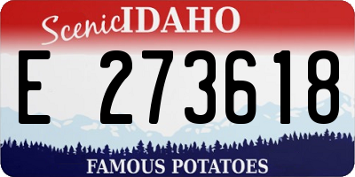 ID license plate E273618