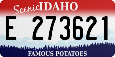 ID license plate E273621