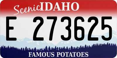 ID license plate E273625