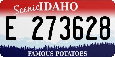 ID license plate E273628