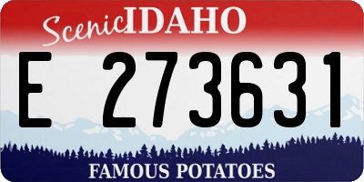 ID license plate E273631