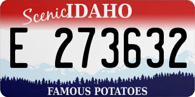 ID license plate E273632