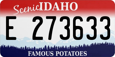 ID license plate E273633