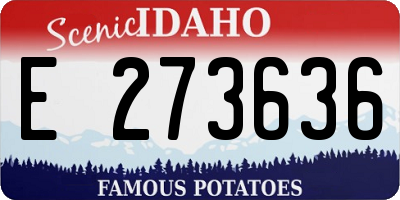 ID license plate E273636