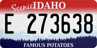 ID license plate E273638