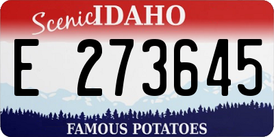 ID license plate E273645