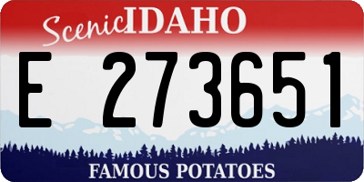 ID license plate E273651