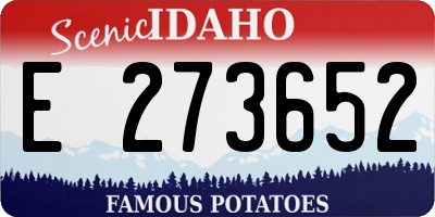 ID license plate E273652
