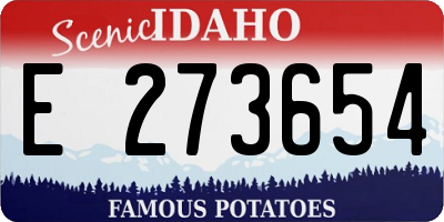 ID license plate E273654