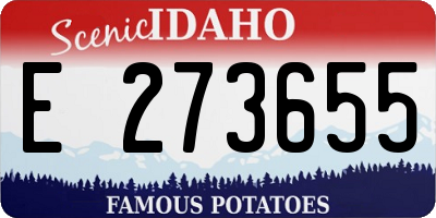 ID license plate E273655