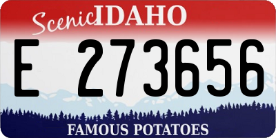 ID license plate E273656