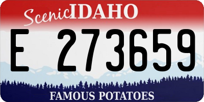 ID license plate E273659
