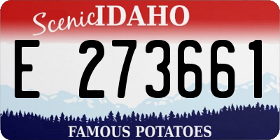 ID license plate E273661