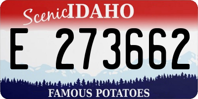 ID license plate E273662