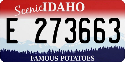 ID license plate E273663