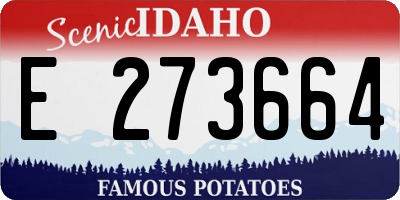 ID license plate E273664