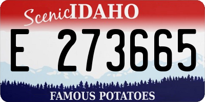 ID license plate E273665