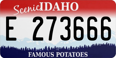 ID license plate E273666