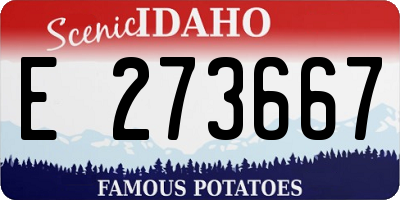 ID license plate E273667